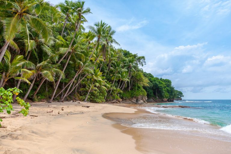 3 Asian Countries in 11 Days: The Ultimate Dubai, Maldives & India Adventure Itinerary